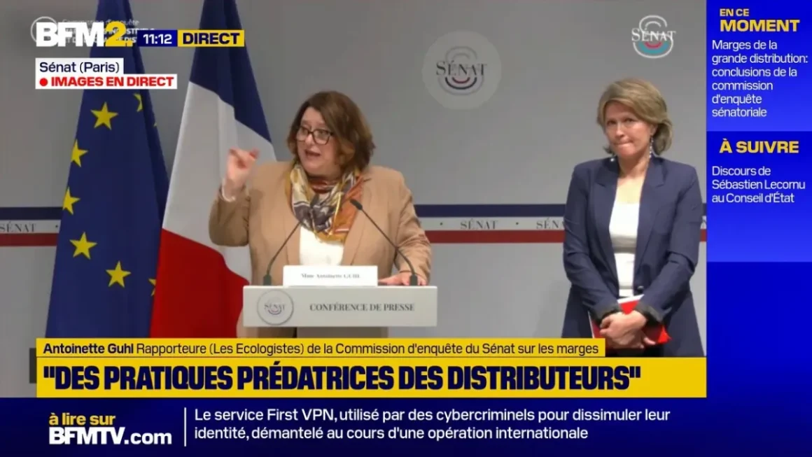 029156da-bf48-4e51-b735-f1df07b1c68e Rapport de la commission d’enquête du Sénat sur les marges des industriels et de la grande distribution