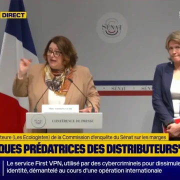 029156da-bf48-4e51-b735-f1df07b1c68e Rapport de la commission d’enquête du Sénat sur les marges des industriels et de la grande distribution