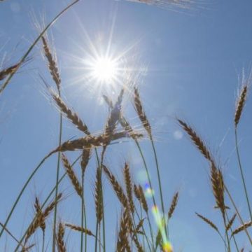 Prévisions météorologiques pour la semaine prochaine en France