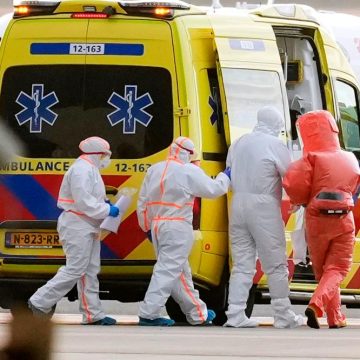 Six cas de hantavirus confirmés par l’OMS : les mesures d’évacuation du MV Hondius