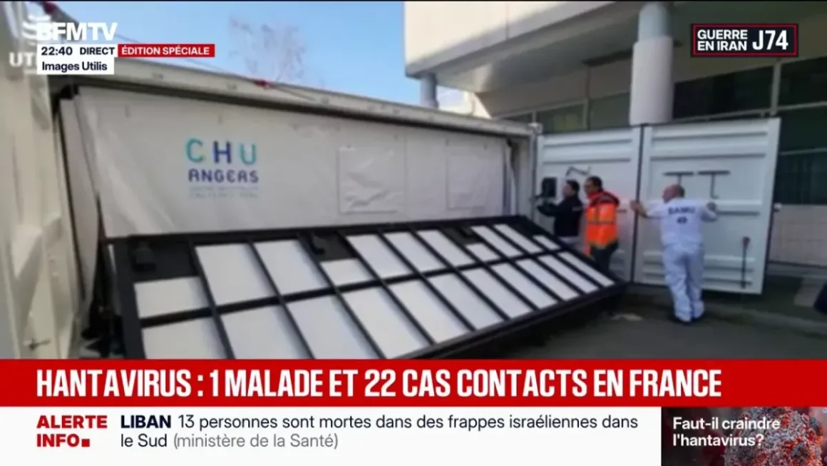 26de88ce-a642-4070-8a38-bed183ba181f Le MV Hondius évacué suite à une épidémie d’hantavirus