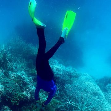 Disparition d’un plongeur près de l’île de Porquerolles