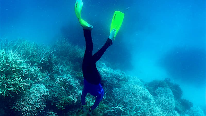 2b164e26-6ca0-48c0-9b70-c3f132eff933 Disparition d’un plongeur près de l’île de Porquerolles