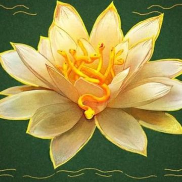 Nouveaux développements pour la saison 4 de The White Lotus en France