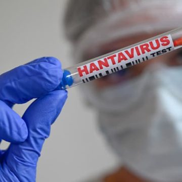 3613c71a-2223-4822-b269-73c6129fd812 Mission scientifique à Ushuaïa pour détecter des rongeurs vecteurs de l’hantavirus