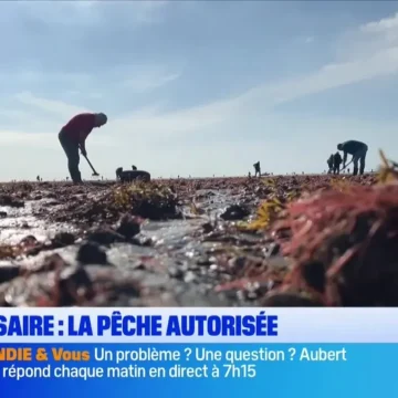 Bonsoir la Normandie sur BFM Normandie