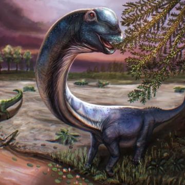 Un dinosaure géant découvert en Thaïlande
