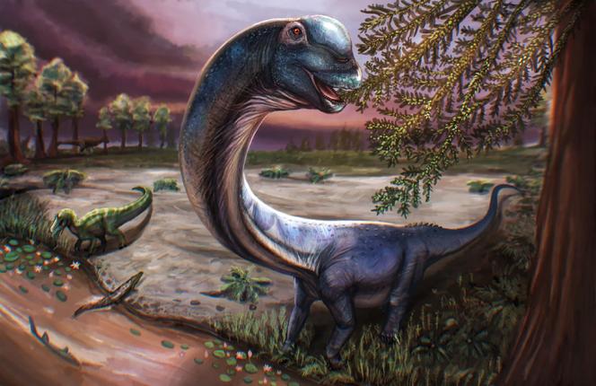 3ad7ad53-7913-41e9-8c16-1f1bbcf2c5a9 Un dinosaure géant découvert en Thaïlande