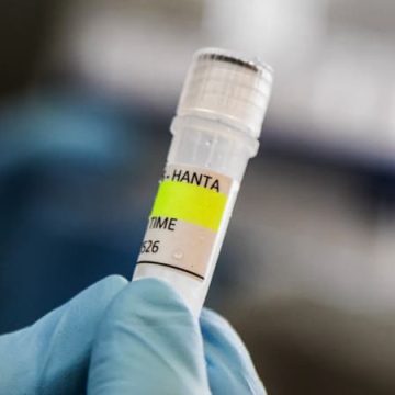 Confirmation de cas d’Hantavirus liés à une croisière