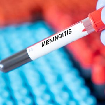 La méningite à méningocoques en Angleterre : une situation sous contrôle