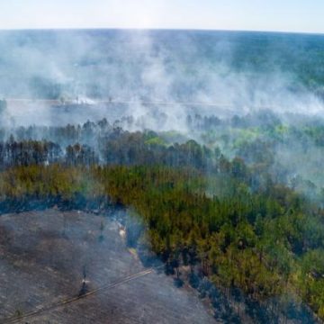 42c994d1-d372-4acc-8309-e06c90b9c917 L’impact dévastateur des incendies en 2026