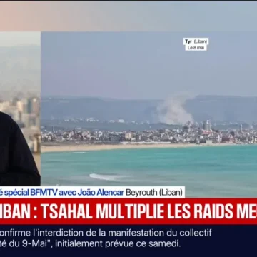 Frappes Israéliennes au Liban: Dix Victimes Déplorées