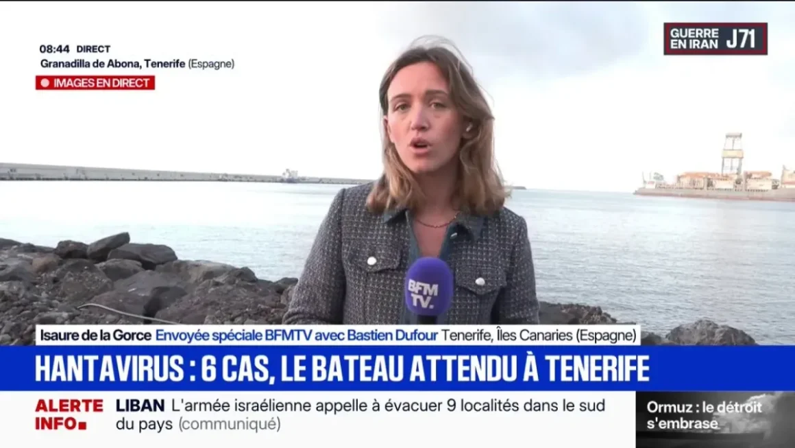 Cas d’hantavirus détecté sur le MV Hondius
