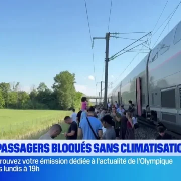 Des TGV bloqués près de Lyon causent des perturbations