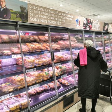 Les Enjeux de la Poulétisation dans l’Industrie Avicole
