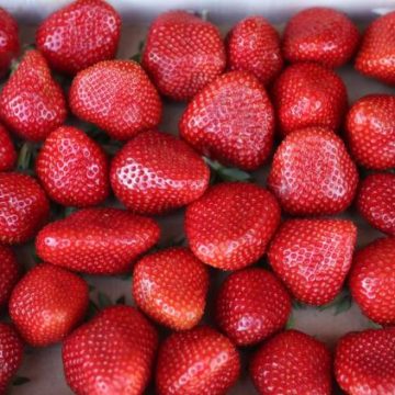 Alternatives au Sucre pour Assaisonner Vos Fraises