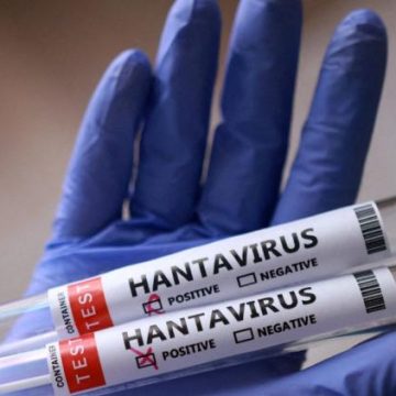 L’énigme persistante de l’hantavirus en Argentine