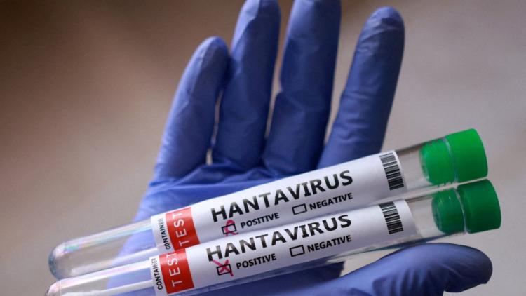 6a64edef-40a6-430b-b3ac-4625de4c3373 L’énigme persistante de l’hantavirus en Argentine