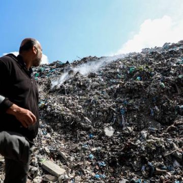6b731427-af9b-4244-81a8-7137658c9e89 Crise Sanitaire dans la Bande de Gaza : La Prolifération des Rongeurs et Insectes