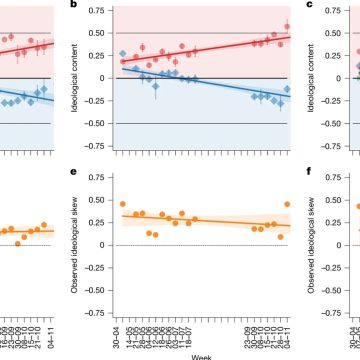 Tiktok et l’influence sur l’élection présidentielle américaine