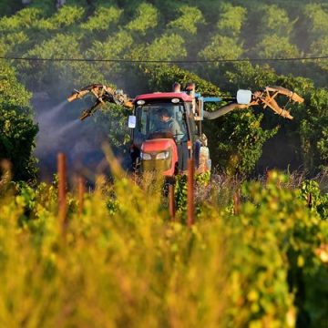 Les Propositions de la Commission Européenne pour Améliorer l’Homologation des Pesticides