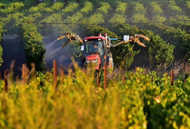 793f2763-3dcc-4abb-8a60-85d853eb7b96 Les Propositions de la Commission Européenne pour Améliorer l’Homologation des Pesticides