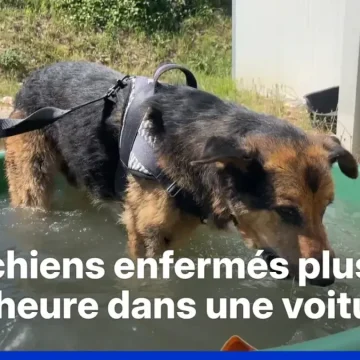 Chaleur Record en France: Une Alerte Précoce