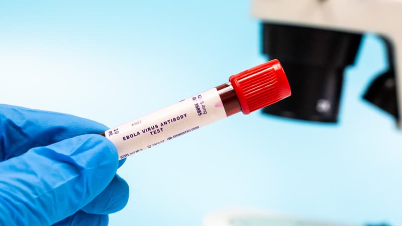 86f00b01-ab7a-4c72-b965-63d6463d4784 Les recommandations de l’OMS pour lutter contre l’épidémie d’Ebola en RDC