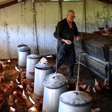 Le tournant agricole en Gironde : diversification face à la crise viticole
