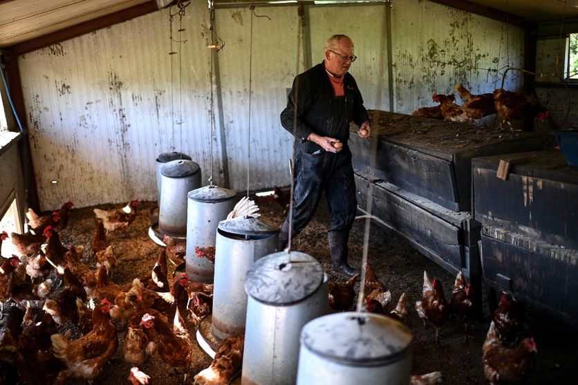 8c89c30c-dd81-49a2-b88c-73576f496556 Le tournant agricole en Gironde : diversification face à la crise viticole