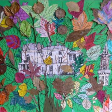 Concours ‘Nos amis les arbres autour de nous’ : Découverte des lauréats et du rôle des arbres dans notre écosystème
