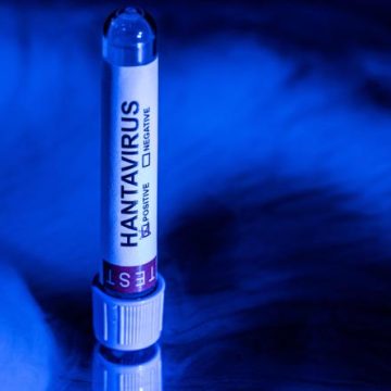 L’hantavirus ravive des théories du complot similaires au Covid