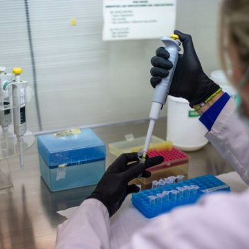 ARGENTINA-HEALTH-HANTAVIRUS-ILLNESS Négativité des Cas Contacts au Hantavirus des Andes en France