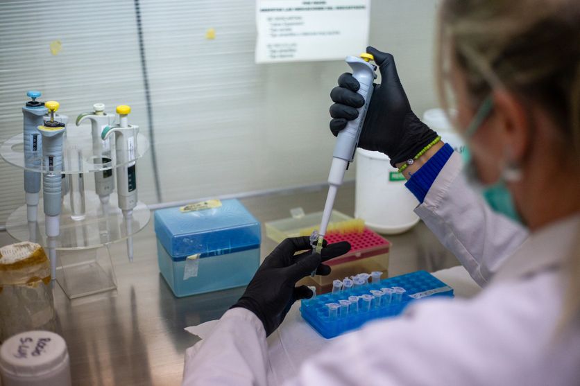 ARGENTINA-HEALTH-HANTAVIRUS-ILLNESS Négativité des Cas Contacts au Hantavirus des Andes en France