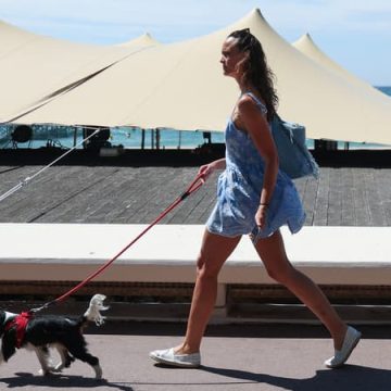 Sauvetage de deux chiens bloqués dans une voiture sous la canicule