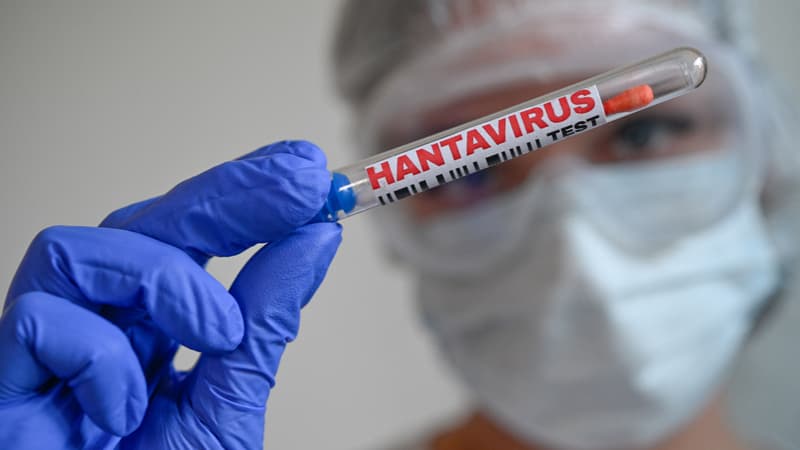 ae24aff4-45e3-4849-9c10-61b1cfe93a92 Un premier cas d’hantavirus transmissible entre humains en France : faut-il s’inquiéter ?
