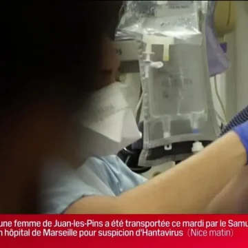 b4c9279d-e035-4a4a-84dd-83588870bd1a BFM Marseille : Focus sur l’actualité locale