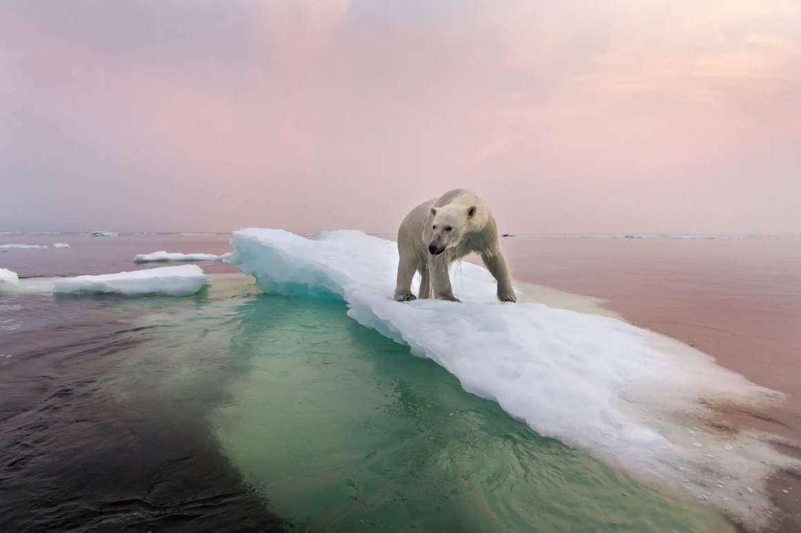 b8b932bf-584c-4dbe-bf2f-fdabdb288a3d Comprendre le Climat Futur à Travers le Passé
