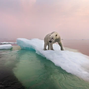 Comprendre le Climat Futur à Travers le Passé