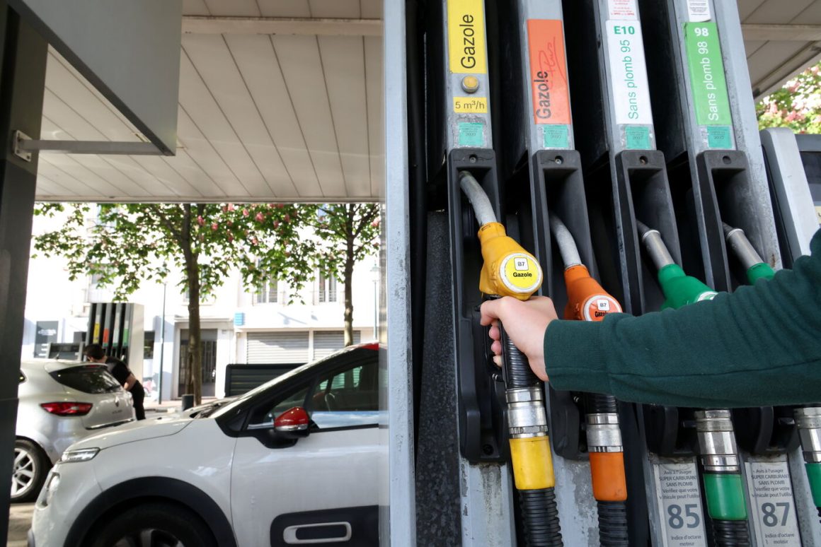 Prix de l'essence Ces éleveurs des monts du Lyonnais ont trouvé une solution pour ne plus brader leur laine