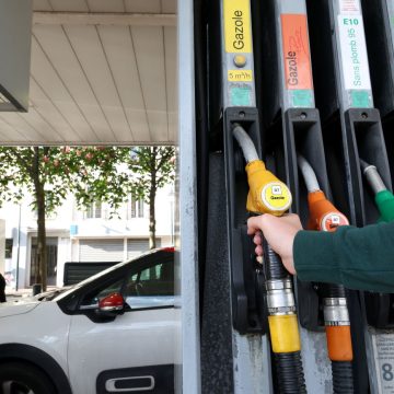 Ces éleveurs des monts du Lyonnais ont trouvé une solution pour ne plus brader leur laine