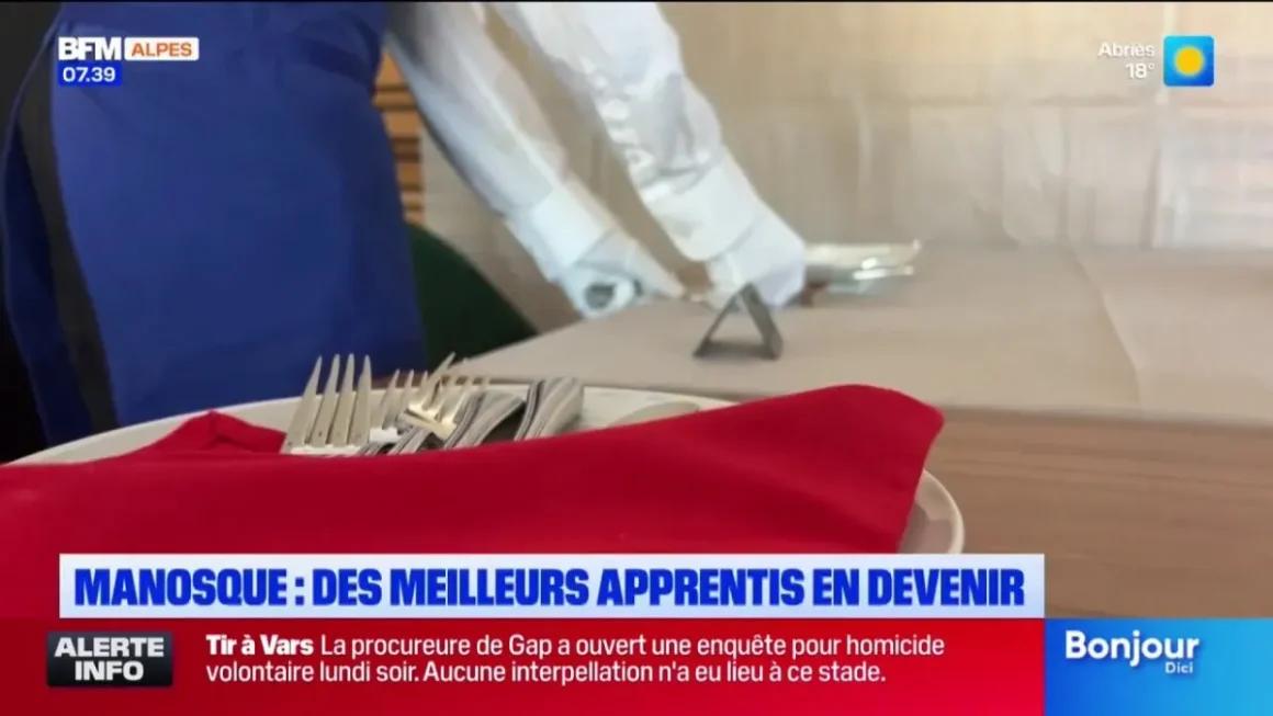d7d8d003-d694-4e1c-be6b-d1596c47602e Objectif Meilleur Apprenti de France : des étudiants bas-alpins se distinguent