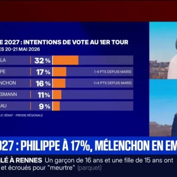 dcc91543-4a8b-4520-87f4-ec8f6c61b6db État des intentions de vote pour la présidentielle 2027