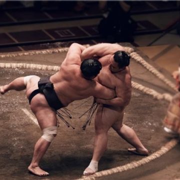Le retour du tournoi de sumo à Paris après trois décennies