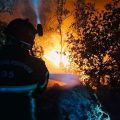 Incendie à l’Ile aux Pies : Un hectare de végétation détruit