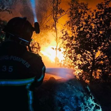 Incendie à l&rsquo;Ile aux Pies : Un hectare de végétation détruit