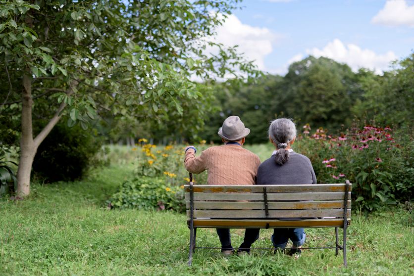 Couple de personnes agees, seniors vus de dos assis cote a cote sur un banc au milieu dÕun jardin, profitant du paysage. Une analyse délicate de « Mukudori » par Aki Shimazaki