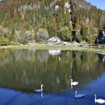 1287a766-7566-46ea-9fc0-d8654de461b9 Deux adolescents meurent noyés dans le Doubs: un drame à Besançon