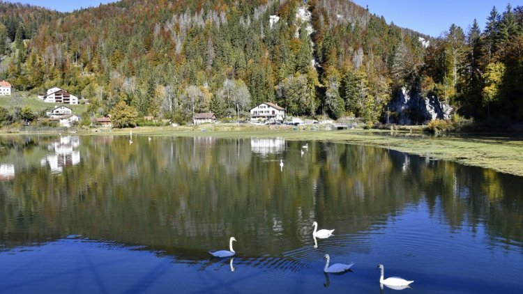 1287a766-7566-46ea-9fc0-d8654de461b9 Deux adolescents meurent noyés dans le Doubs: un drame à Besançon