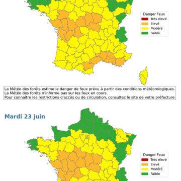 Canicule en France et en Europe : impact et mesures
